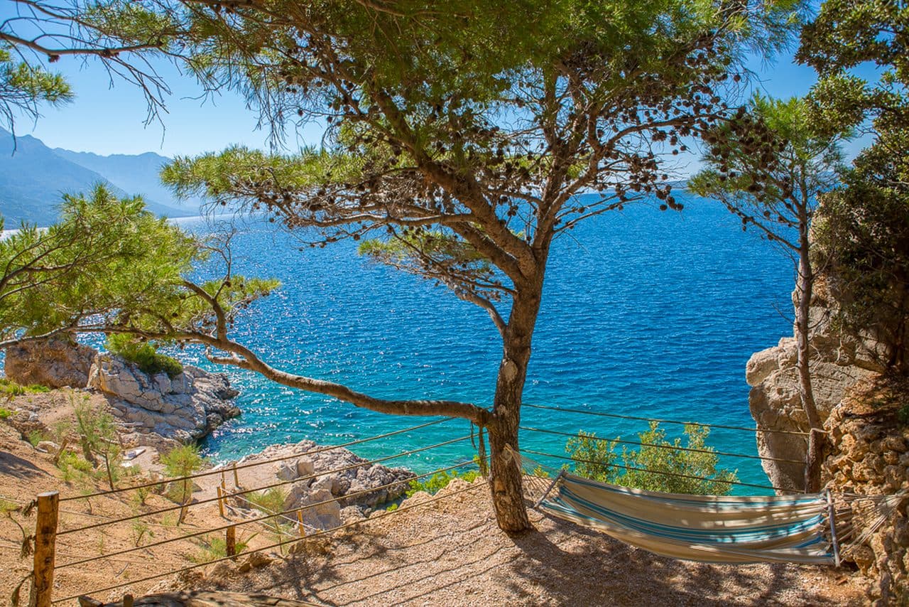 Vela Sollis Image Gallery 14