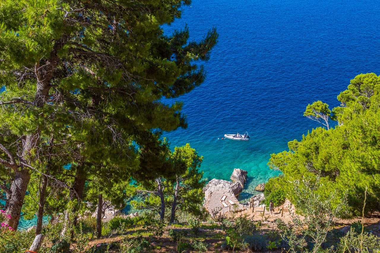 Vela Sollis Image Gallery 15